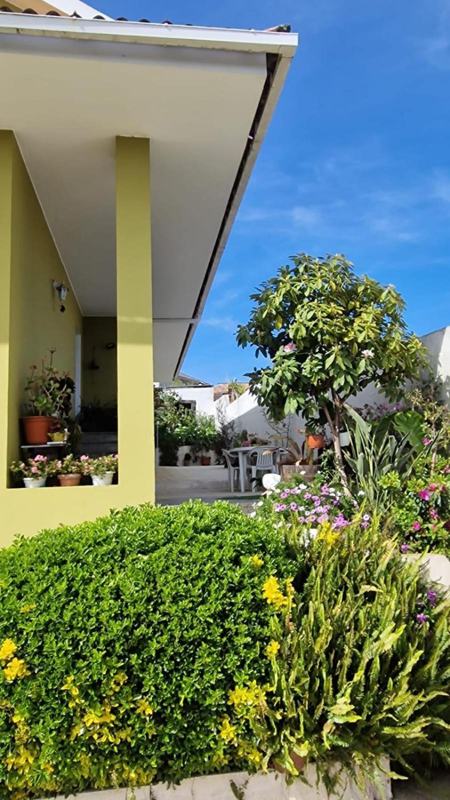 Apartmán Corazon Do Val Da Lourina-Area Vigo Pontevedra Exteriér fotografie
